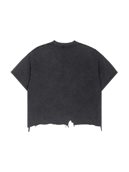 Distressed Crop Tee